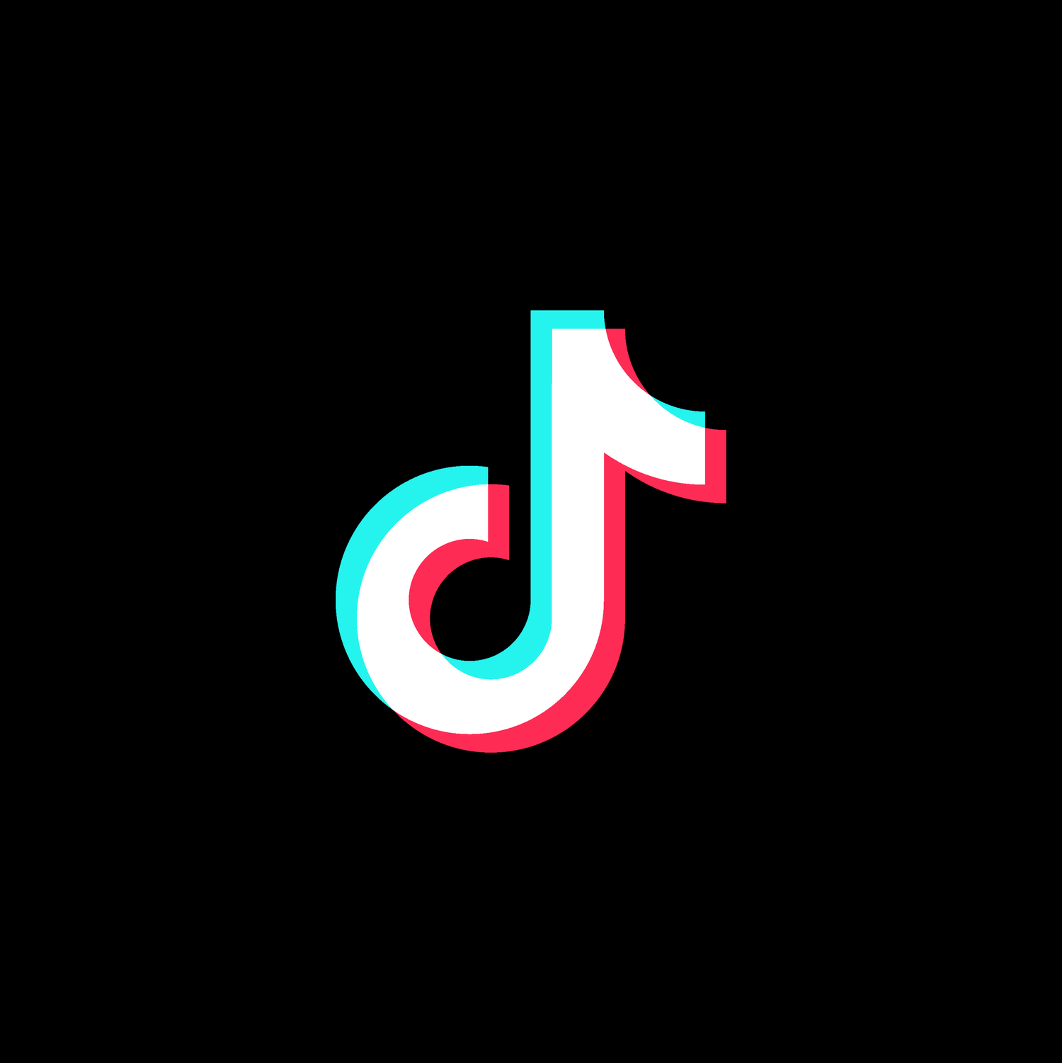 TikTok Services